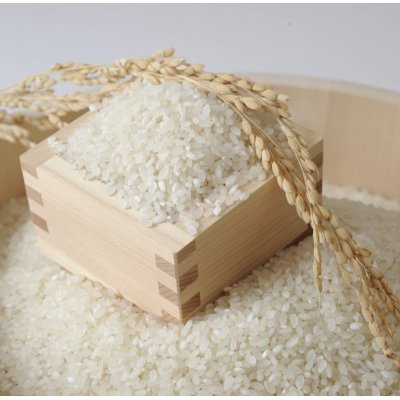 画像2: 【３年度産】IKARIFARM自慢のお米食べ比べセット 白米2kg × 3