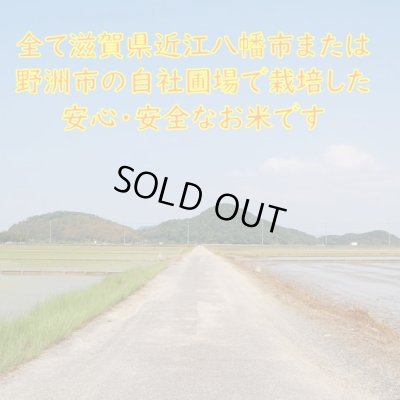 画像6: 新米【７年産】みずかがみ　白米３０kg　　