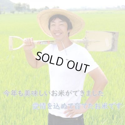 画像7: 新米【７年産】しきゆたか　玄米5kg