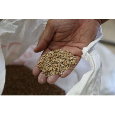 画像3: IKARIFARM小麦使用 国産金柑を使用した女性にも飲みやすいクラフトビール　6本入