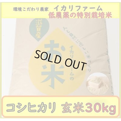 画像2: 新米【５年産】コシヒカリ　玄米30kg（30ｋｇ×1袋）