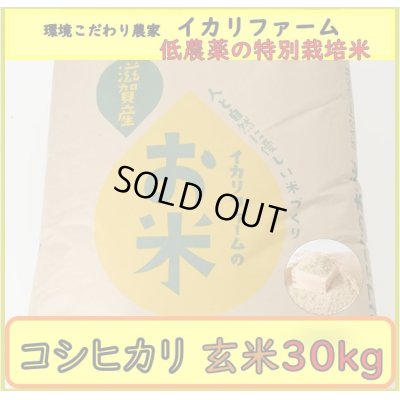 画像2: 新米【６年産】コシヒカリ　玄米30kg（30ｋｇ×1袋）