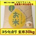 画像1: 【４年産】コシヒカリ　玄米30kg (1)