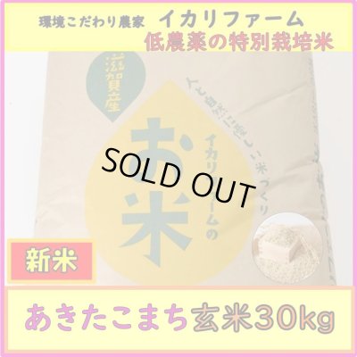 画像1: 【４年産】あきたこまち　玄米30kg