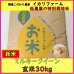 画像2: 新米　【６年産】ミルキークイーン　玄米30kg（30ｋｇ×１袋）　 (2)