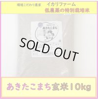 【４年産】あきたこまち　玄米10kg