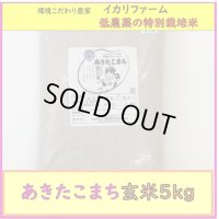 【４年産】あきたこまち　玄米5kg