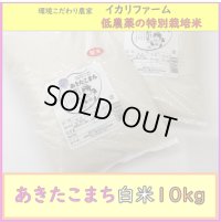 【４年産】あきたこまち　白米10kg