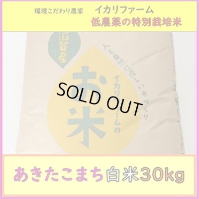 画像1: 【４年産】あきたこまち　白米30kg