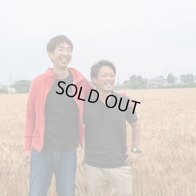 画像13: ビスコッティ ギフトセット(5個入)