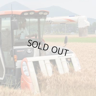 画像11: ビスコッティ ギフトセット(5個入)