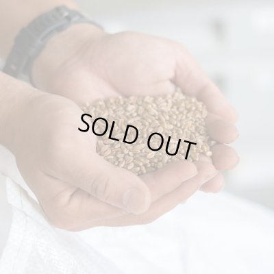 画像12: ビスコッティ ギフトセット(5個入)