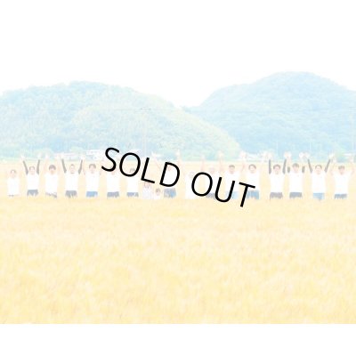 画像14: ビスコッティ ギフトセット(5個入)