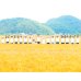 画像14: ビスコッティ　ギフトセット（５個入）