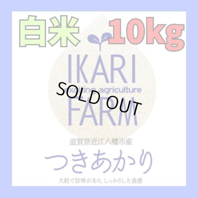 画像1: 新米　【６年産】つきあかり　白米10kg（5ｋｇ×２）　