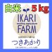 画像1: 【5年産】つきあかり　白米5kg (1)