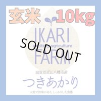 新米　【６年産】つきあかり　玄米10kg（5ｋｇ×2袋）