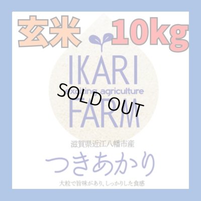 画像1: 新米　【６年産】つきあかり　玄米10kg（5ｋｇ×2袋）