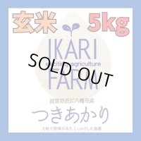 新米　【６年産】つきあかり　玄米5kg