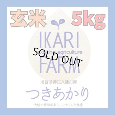 画像1: 新米　【６年産】つきあかり　玄米5kg