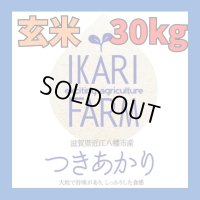 新米　【６年産】つきあかり　玄米30kg（30ｋｇ×1袋）
