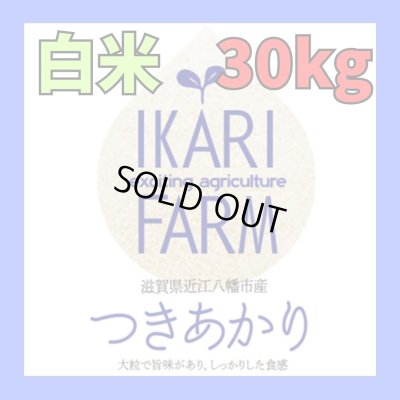 画像1: 新米　【６年産】つきあかり　白米３０kg（30ｋｇ×１袋）