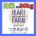 画像1: 新米　【６年産】つきあかり　白米３０kg（30ｋｇ×１袋） (1)