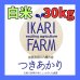 画像1: 【5年産】つきあかり　白米３０kg（30ｋｇ×１袋） (1)