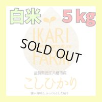 新米【６年産】コシヒカリ　白米5kg