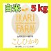 画像1: 新米【５年産】コシヒカリ　白米5kg (1)