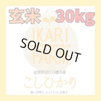 新米【６年産】コシヒカリ　玄米30kg（30ｋｇ×1袋）