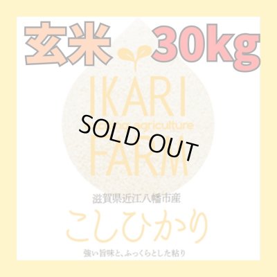 画像1: 新米【６年産】コシヒカリ　玄米30kg（30ｋｇ×1袋）