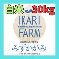新米【７年産】みずかがみ　白米３０kg　　