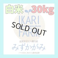 【６年産】みずかがみ　白米３０kg　　