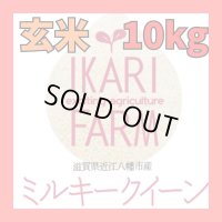 新米　【６年産】ミルキークイーン　玄米10kg（5ｋｇ×２袋）　