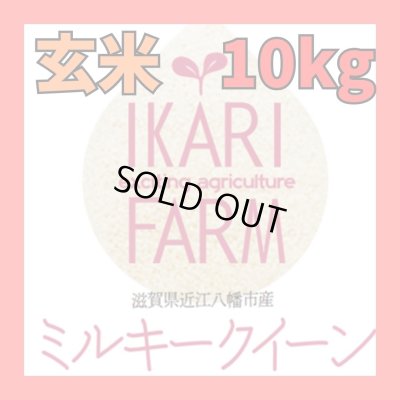 画像1: 新米　【６年産】ミルキークイーン　玄米10kg（5ｋｇ×２袋）　