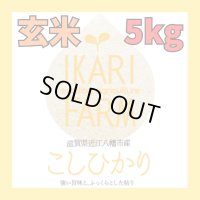 新米【６年産】コシヒカリ　玄米5kg