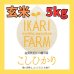 画像1: 新米【６年産】コシヒカリ　玄米5kg (1)