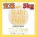 画像1: 新米【５年産】コシヒカリ　玄米5kg (1)