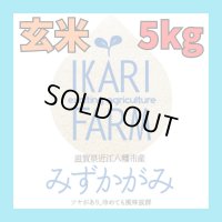 【６年産】みずかがみ　玄米5kg　