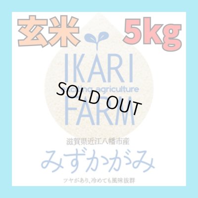 画像1: 【６年産】みずかがみ　玄米5kg　