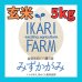 画像1: 【６年産】みずかがみ　玄米5kg　 (1)