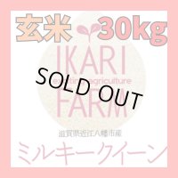 新米　【６年産】ミルキークイーン　玄米30kg（30ｋｇ×１袋）　