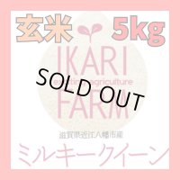 新米　【６年産】ミルキークイーン　玄米5k　
