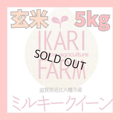 画像1: 新米　【６年産】ミルキークイーン　玄米5k　