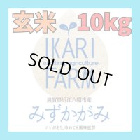 【６年産】みずかがみ　玄米１０kg（5ｋｇ×２袋）　