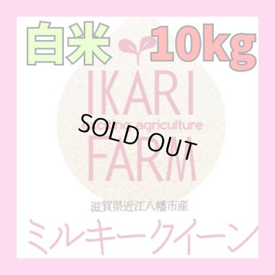 画像1: 新米　【６年産】ミルキークイーン　白米10kg（5ｋｇ×２袋）　