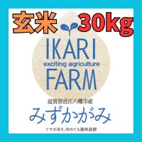 新米【７年産】みずかがみ　玄米３０kg　