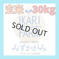 【６年産】みずかがみ　玄米３０kg　