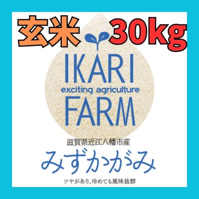 画像1: 【５年産】みずかがみ　玄米３０kg